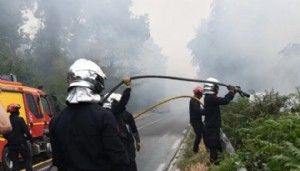Fontainebleau'nun yüzde 10'u kül oldu
